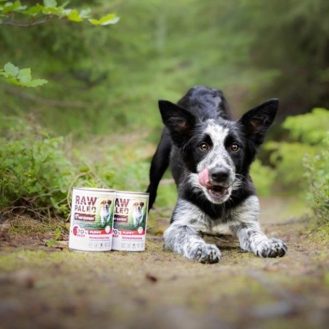 VetExpert Raw Paleo Wołowina Puppy Can 400g VetExpert VetExpert Raw Paleo Wołowina Puppy Can 400g VetExpert