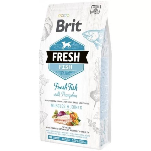 BRIT Fresh Fish & Pumpkin Adult Large muscles & joints 12kg Brit BRIT Fresh Fish & Pumpkin Adult Large muscles & joints 12kg Brit