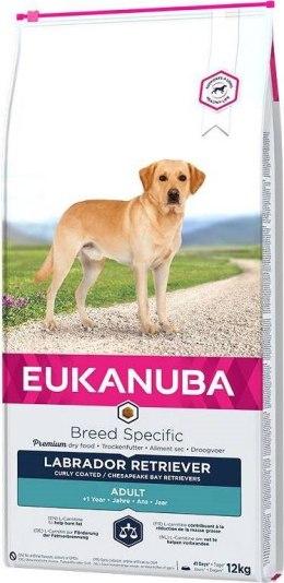 EUKANUBA Adult Labrador Retriever - sucha karma dla psa - 12 kg EUKANUBA