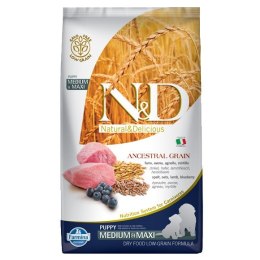 FARMINA N&D Ancestral Grain Lamb & Blueberry Puppy Medium & Maxi - sucha karma dla szczeniąt - 12kg Farmina