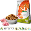 FARMINA N&D Pumpkin Boar & Apple Adult Mini - sucha karma dla psa - 2,5kg Farmina