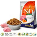 FARMINA N&D Pumpkin Lamb & Blueberry Adult Mini - sucha karma dla psa - 2,5 kg Farmina