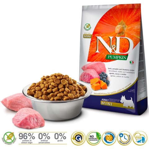 FARMINA N&D Pumpkin Lamb & Blueberry Adult Mini - sucha karma dla psa - 2,5 kg Farmina FARMINA N&D Pumpkin Lamb & Blueberry Adult Mini - sucha karma dla psa - 2,5 kg Farmina
