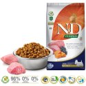 FARMINA N&D Pumpkin Lamb & Blueberry Adult Mini - sucha karma dla psa - 7 kg Farmina