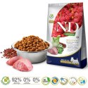 FARMINA N&D Quinoa Dog Digestion Adult Mini - sucha karma dla psa - 800 g Farmina
