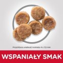 Hill's SP small & mini adult, chicken, dla psa 1.5 kg Hill's