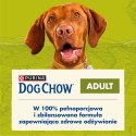 PURINA DOG CHOW Adult Jagnięcina - sucha karma dla psa - 14 kg PURINA NESTLE