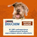 PURINA Dog Chow Mature Senior z jagnięciną - sucha karma dla psa - 14 kg PURINA NESTLE