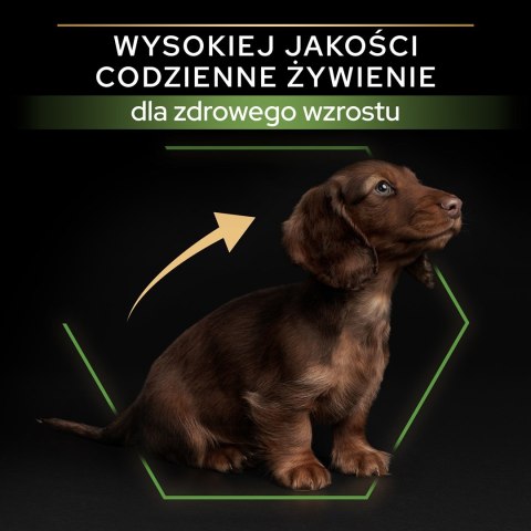 PURINA PRO PLAN Puppy Small & Mini - sucha karma dla szczeniąt - 7kg PURINA NESTLE PURINA PRO PLAN Puppy Small & Mini - sucha karma dla szczeniąt - 7kg PURINA NESTLE