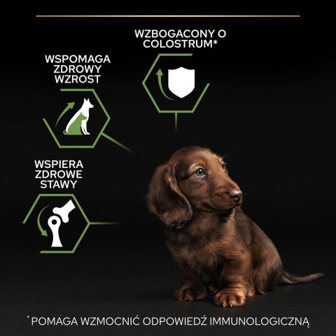 PURINA PRO PLAN Puppy Small & Mini - sucha karma dla szczeniąt - 7kg PURINA NESTLE PURINA PRO PLAN Puppy Small & Mini - sucha karma dla szczeniąt - 7kg PURINA NESTLE