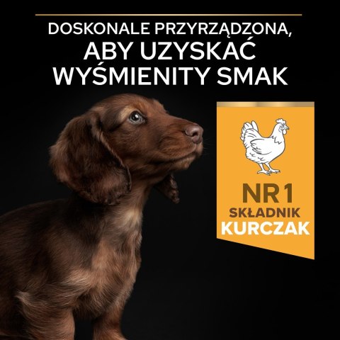 PURINA PRO PLAN Puppy Small & Mini - sucha karma dla szczeniąt - 7kg PURINA NESTLE PURINA PRO PLAN Puppy Small & Mini - sucha karma dla szczeniąt - 7kg PURINA NESTLE