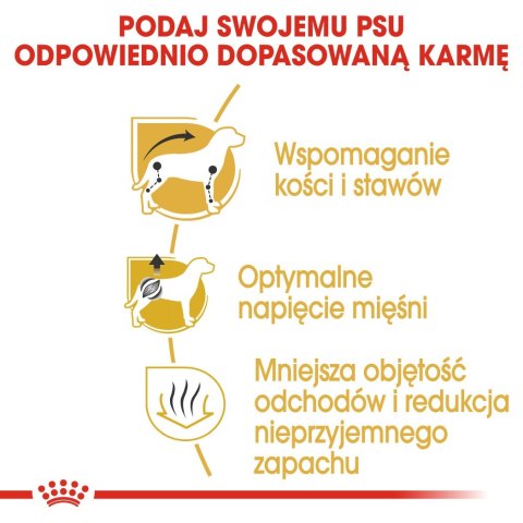 ROYAL CANIN BHN Dachshund Adult - sucha karma dla psa dorosłego - 7,5kg Royal Canin ROYAL CANIN BHN Dachshund Adult - sucha karma dla psa dorosłego - 7,5kg Royal Canin