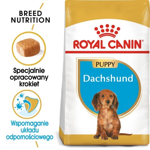 ROYAL CANIN BHN Dachshund Puppy - sucha karma dla szczeniąt - 1,5kg Royal Canin ROYAL CANIN BHN Dachshund Puppy - sucha karma dla szczeniąt - 1,5kg Royal Canin