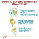 ROYAL CANIN BHN Dachshund Puppy - sucha karma dla szczeniąt - 1,5kg Royal Canin