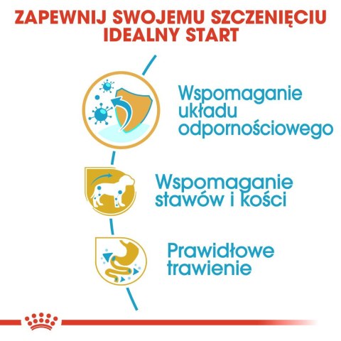 ROYAL CANIN BHN Dachshund Puppy - sucha karma dla szczeniąt - 1,5kg Royal Canin ROYAL CANIN BHN Dachshund Puppy - sucha karma dla szczeniąt - 1,5kg Royal Canin