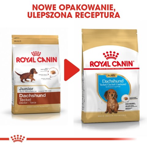 ROYAL CANIN BHN Dachshund Puppy - sucha karma dla szczeniąt - 1,5kg Royal Canin ROYAL CANIN BHN Dachshund Puppy - sucha karma dla szczeniąt - 1,5kg Royal Canin