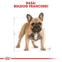 ROYAL CANIN BHN French Bulldog Adult - sucha karma dla psa dorosłego - 9kg Royal Canin