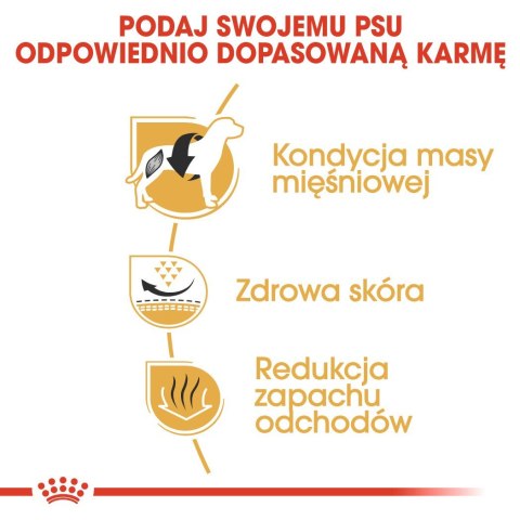 ROYAL CANIN BHN French Bulldog Adult - sucha karma dla psa dorosłego - 9kg Royal Canin ROYAL CANIN BHN French Bulldog Adult - sucha karma dla psa dorosłego - 9kg Royal Canin