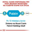 ROYAL CANIN BHN French Bulldog Puppy - sucha karma dla szczeniąt - 3kg Royal Canin