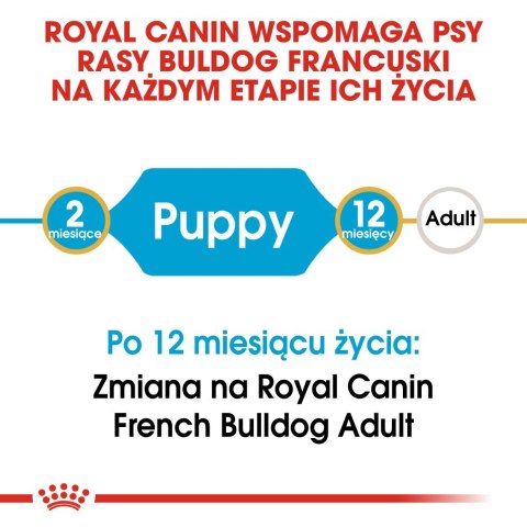 ROYAL CANIN BHN French Bulldog Puppy - sucha karma dla szczeniąt - 3kg Royal Canin ROYAL CANIN BHN French Bulldog Puppy - sucha karma dla szczeniąt - 3kg Royal Canin