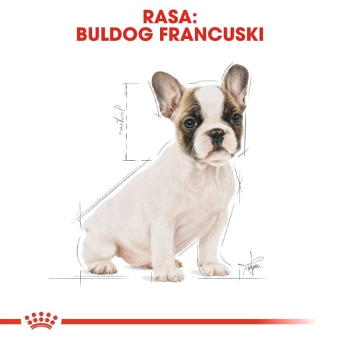 ROYAL CANIN BHN French Bulldog Puppy - sucha karma dla szczeniąt - 3kg Royal Canin ROYAL CANIN BHN French Bulldog Puppy - sucha karma dla szczeniąt - 3kg Royal Canin