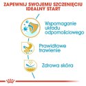 ROYAL CANIN BHN French Bulldog Puppy - sucha karma dla szczeniąt - 3kg Royal Canin