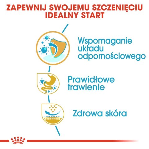 ROYAL CANIN BHN French Bulldog Puppy - sucha karma dla szczeniąt - 3kg Royal Canin ROYAL CANIN BHN French Bulldog Puppy - sucha karma dla szczeniąt - 3kg Royal Canin