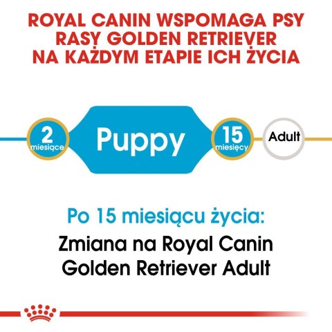 ROYAL CANIN BHN Golden Retriever Puppy - sucha karma dla szczeniąt - 12 kg Royal Canin ROYAL CANIN BHN Golden Retriever Puppy - sucha karma dla szczeniąt - 12 kg Royal Canin