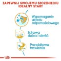 ROYAL CANIN BHN Golden Retriever Puppy - sucha karma dla szczeniąt - 12 kg Royal Canin