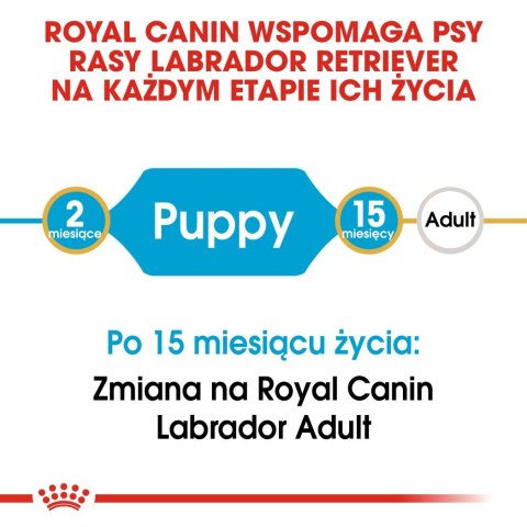 ROYAL CANIN BHN Labrador Puppy - sucha karma dla szczeniąt - 12kg Royal Canin ROYAL CANIN BHN Labrador Puppy - sucha karma dla szczeniąt - 12kg Royal Canin