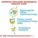 ROYAL CANIN BHN Labrador Puppy - sucha karma dla szczeniąt - 12kg Royal Canin