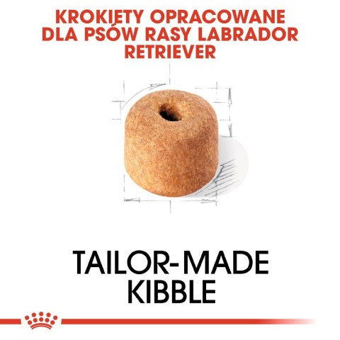 ROYAL CANIN BHN Labrador Retriever Adult - sucha karma dla psa dorosłego - 12 kg Royal Canin ROYAL CANIN BHN Labrador Retriever Adult - sucha karma dla psa dorosłego - 12 kg Royal Canin