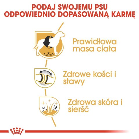 ROYAL CANIN BHN Labrador Retriever Adult - sucha karma dla psa dorosłego - 12 kg Royal Canin ROYAL CANIN BHN Labrador Retriever Adult - sucha karma dla psa dorosłego - 12 kg Royal Canin