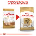 ROYAL CANIN BHN Labrador Retriever Adult - sucha karma dla psa dorosłego - 12 kg Royal Canin
