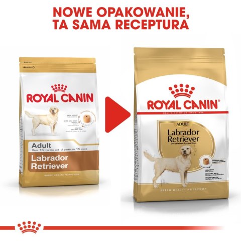 ROYAL CANIN BHN Labrador Retriever Adult - sucha karma dla psa dorosłego - 12 kg Royal Canin ROYAL CANIN BHN Labrador Retriever Adult - sucha karma dla psa dorosłego - 12 kg Royal Canin