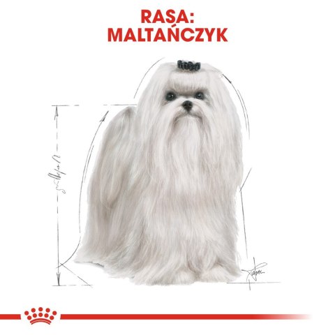 ROYAL CANIN BHN Maltese - sucha karma dla psa - 0,5kg Royal Canin ROYAL CANIN BHN Maltese - sucha karma dla psa - 0,5kg Royal Canin