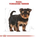 ROYAL CANIN BHN Yorkshire Puppy - sucha karma dla szczeniąt - 1,5 kg Royal Canin