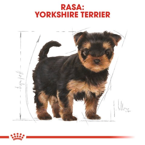 ROYAL CANIN BHN Yorkshire Puppy - sucha karma dla szczeniąt - 1,5 kg Royal Canin ROYAL CANIN BHN Yorkshire Puppy - sucha karma dla szczeniąt - 1,5 kg Royal Canin