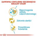 ROYAL CANIN BHN Yorkshire Puppy - sucha karma dla szczeniąt - 7,5 kg Royal Canin
