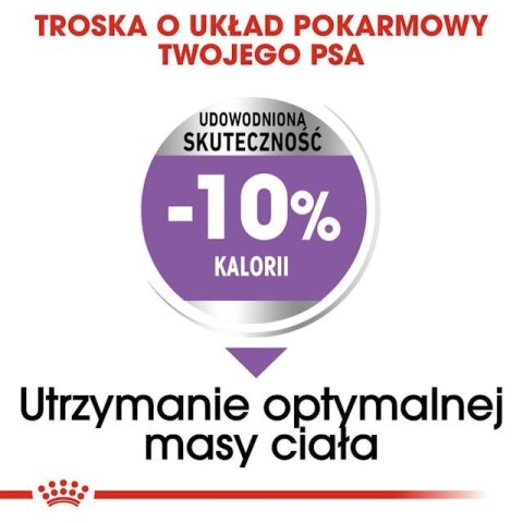 ROYAL CANIN CCN Medium Sterilised Adult - sucha karma dla psa - 12 kg Royal Canin ROYAL CANIN CCN Medium Sterilised Adult - sucha karma dla psa - 12 kg Royal Canin