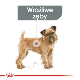 ROYAL CANIN CCN Mini Dental Care - sucha karma dla dorosłych psów - 3 kg Royal Canin