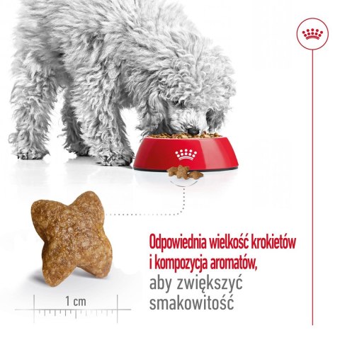 ROYAL CANIN Mini Adult 2kg Royal Canin ROYAL CANIN Mini Adult 2kg Royal Canin