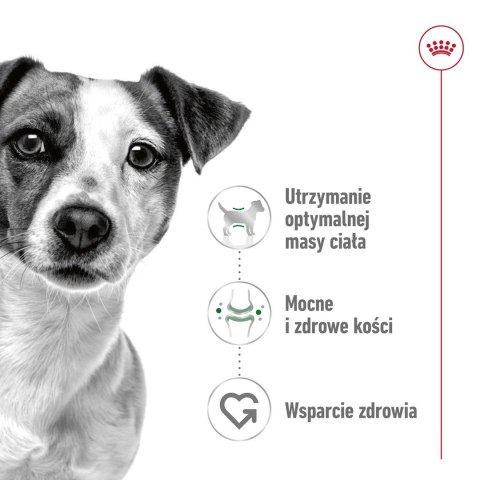 ROYAL CANIN Mini Adult 2kg Royal Canin ROYAL CANIN Mini Adult 2kg Royal Canin