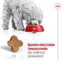 ROYAL CANIN Mini Adult +8 2kg - sucha karma dla psa Royal Canin