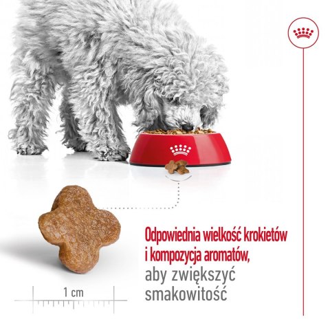 ROYAL CANIN Mini Adult +8 2kg - sucha karma dla psa Royal Canin ROYAL CANIN Mini Adult +8 2kg - sucha karma dla psa Royal Canin