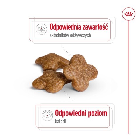 ROYAL CANIN Mini Adult +8 2kg - sucha karma dla psa Royal Canin ROYAL CANIN Mini Adult +8 2kg - sucha karma dla psa Royal Canin