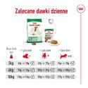 ROYAL CANIN Mini Adult +8 2kg - sucha karma dla psa Royal Canin