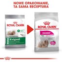 ROYAL CANIN Mini Exigent - sucha karma dla psów wybrednych - 1 kg Royal Canin