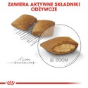ROYAL CANIN Mini Exigent - sucha karma dla psów wybrednych - 1 kg Royal Canin