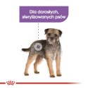 ROYAL CANIN Mini Sterilised - sucha karma dla psa - 1kg Royal Canin